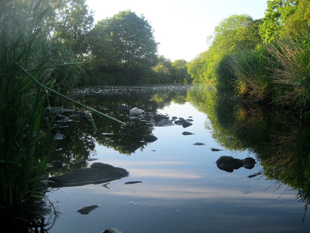 River Aire at Kirkstall Valley Nature Reserve