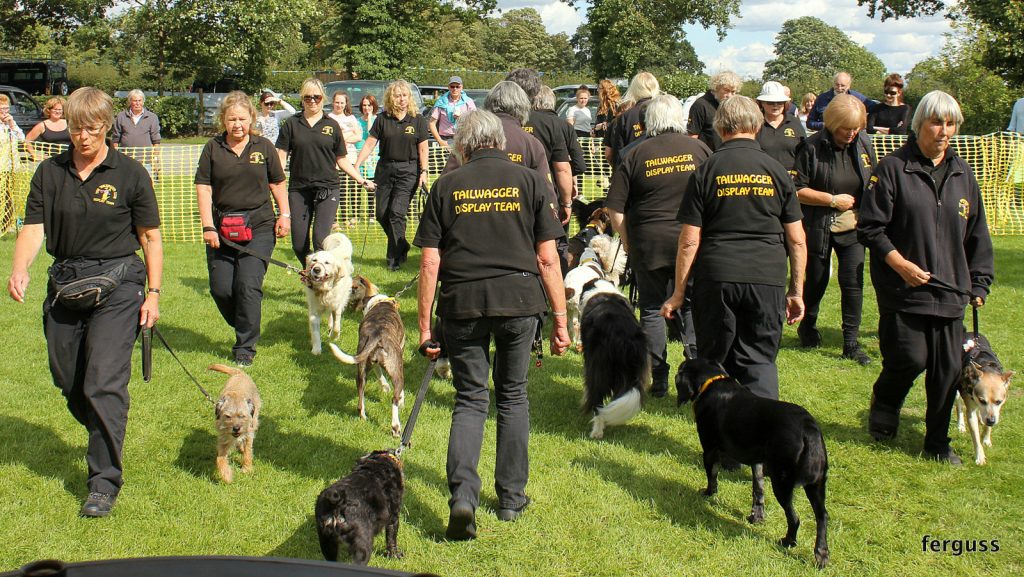 Tailwaggers Display Team