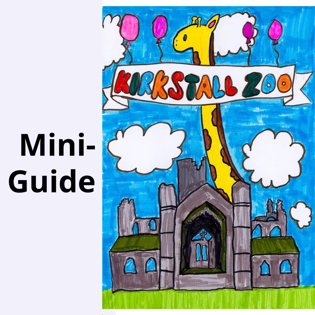 2024 Mini Guide