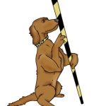 Tailwagger Club Display Team
